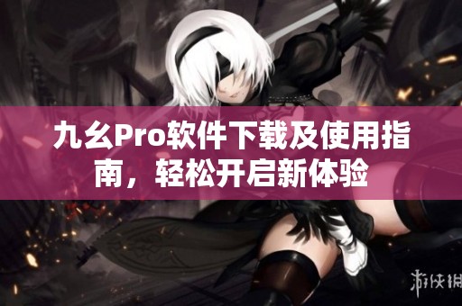 九幺Pro软件下载及使用指南，轻松开启新体验