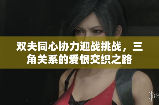 双夫同心协力迎战挑战，三角关系的爱恨交织之路