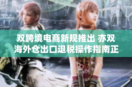 双跨境电商新规推出 亦双海外仓出口退税操作指南正式发布