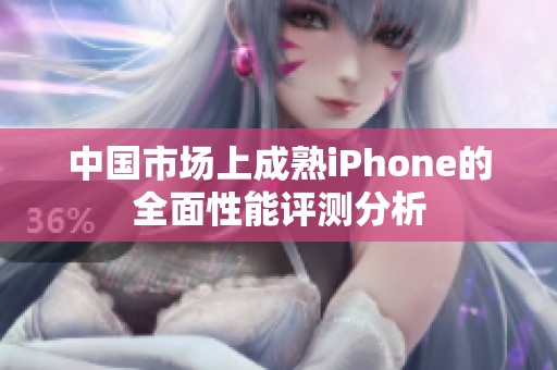 中国市场上成熟iPhone的全面性能评测分析