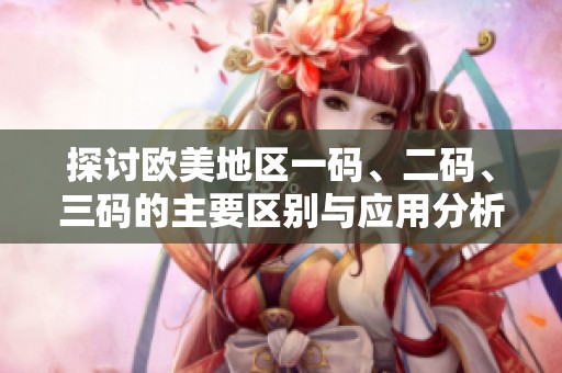 探讨欧美地区一码、二码、三码的主要区别与应用分析