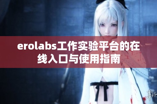 erolabs工作实验平台的在线入口与使用指南