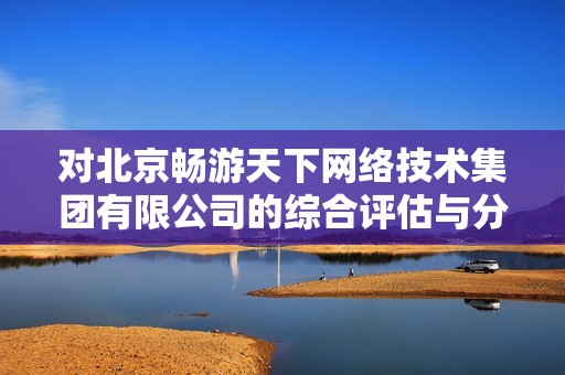 对北京畅游天下网络技术集团有限公司的综合评估与分析
