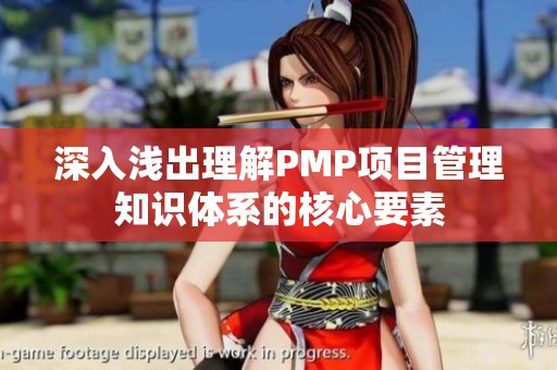 深入浅出理解PMP项目管理知识体系的核心要素