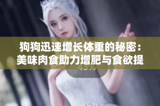 狗狗迅速增长体重的秘密：美味肉食助力增肥与食欲提升