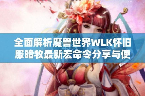 全面解析魔兽世界WLK怀旧服暗牧最新宏命令分享与使用技巧