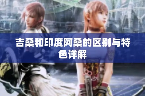 吉桑和印度阿桑的区别与特色详解