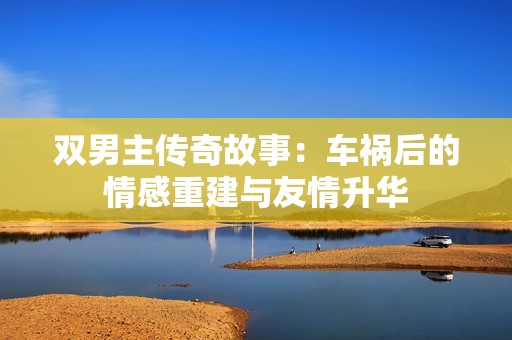 双男主传奇故事：车祸后的情感重建与友情升华