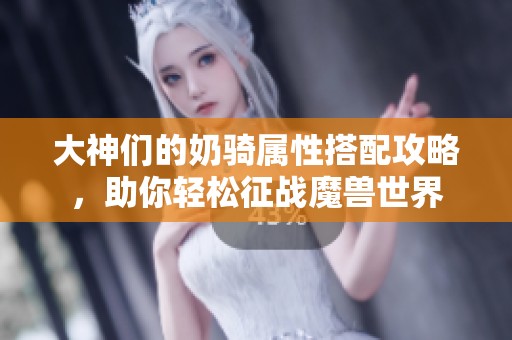 大神们的奶骑属性搭配攻略，助你轻松征战魔兽世界