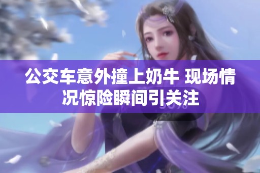 公交车意外撞上奶牛 现场情况惊险瞬间引关注