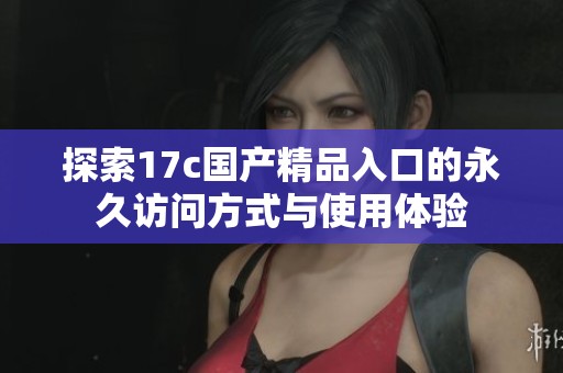探索17c国产精品入口的永久访问方式与使用体验