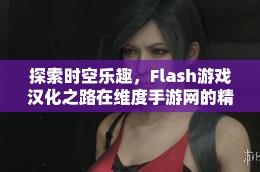 探索时空乐趣，Flash游戏汉化之路在维度手游网的精彩旅程