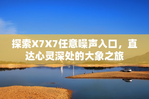 探索X7X7任意噪声入口，直达心灵深处的大象之旅