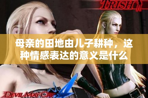 母亲的田地由儿子耕种，这种情感表达的意义是什么