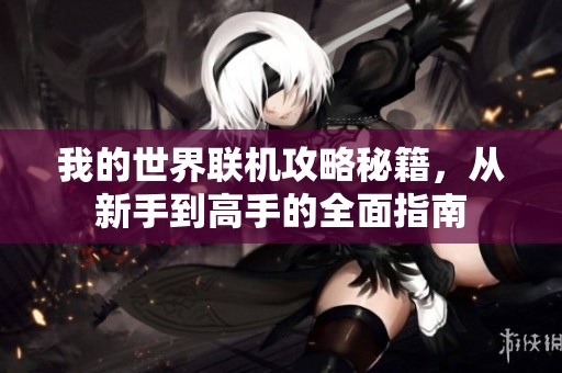 我的世界联机攻略秘籍，从新手到高手的全面指南