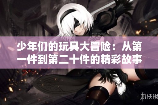 少年们的玩具大冒险：从第一件到第二十件的精彩故事