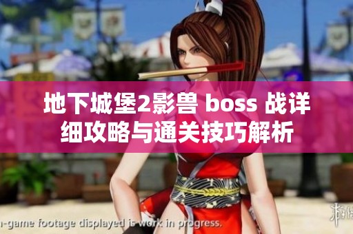 地下城堡2影兽 boss 战详细攻略与通关技巧解析