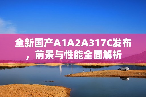 全新国产A1A2A317C发布，前景与性能全面解析