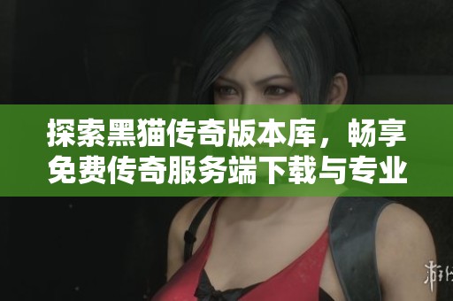 探索黑猫传奇版本库，畅享免费传奇服务端下载与专业GM支持