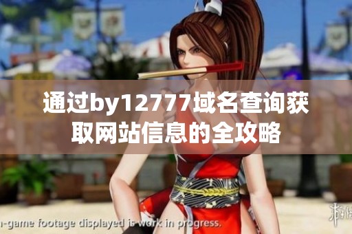 通过by12777域名查询获取网站信息的全攻略