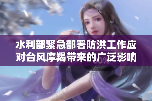 水利部紧急部署防洪工作应对台风摩羯带来的广泛影响