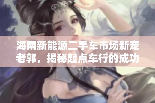 海南新能源二手车市场新宠老郭，揭秘起点车行的成功秘诀