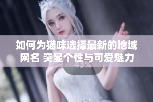 如何为猫咪选择最新的地域网名 突显个性与可爱魅力