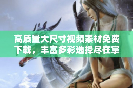 高质量大尺寸视频素材免费下载，丰富多彩选择尽在掌握