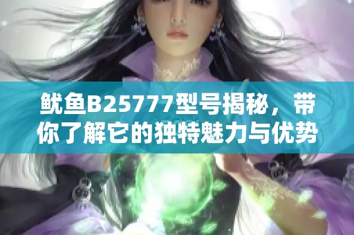 鱿鱼B25777型号揭秘，带你了解它的独特魅力与优势