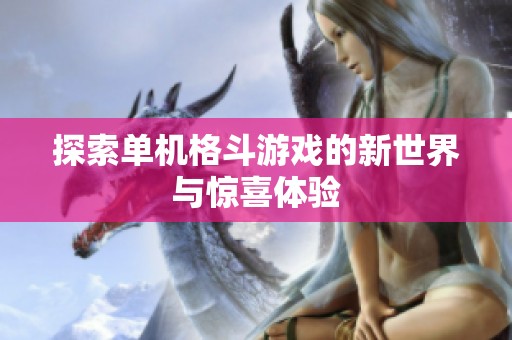 探索单机格斗游戏的新世界与惊喜体验