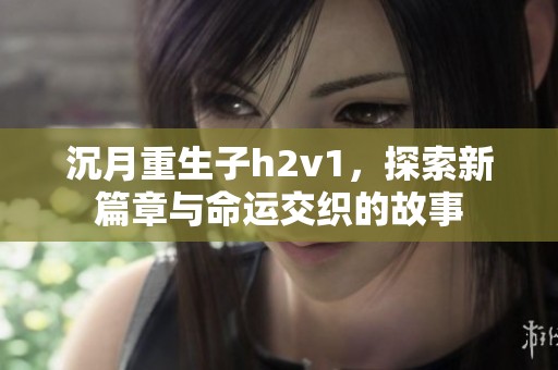 沉月重生子h2v1，探索新篇章与命运交织的故事