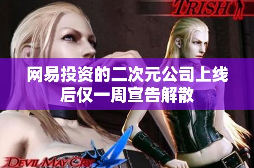 网易投资的二次元公司上线后仅一周宣告解散