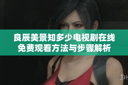良辰美景知多少电视剧在线免费观看方法与步骤解析