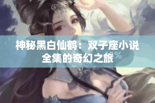 神秘黑白仙鹤：双子座小说全集的奇幻之旅