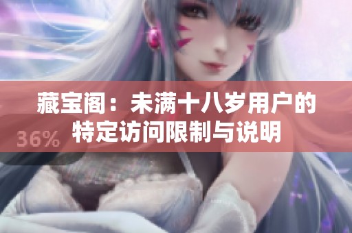 藏宝阁：未满十八岁用户的特定访问限制与说明