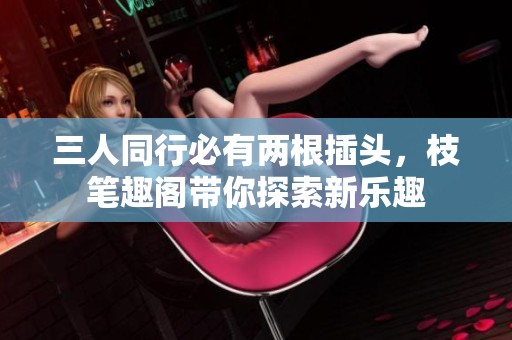 三人同行必有两根插头，枝笔趣阁带你探索新乐趣
