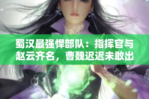 蜀汉最强悍部队：指挥官与赵云齐名，曹魏迟迟未敢出征