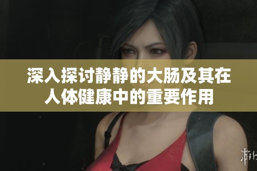 深入探讨静静的大肠及其在人体健康中的重要作用