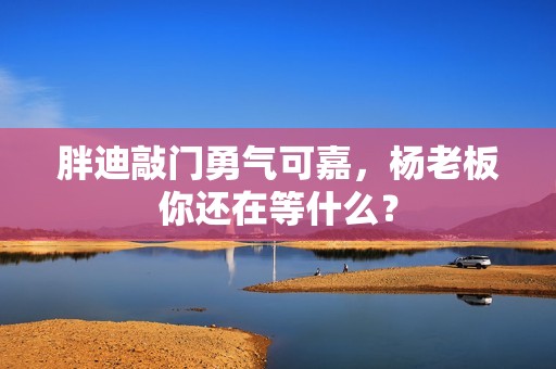 胖迪敲门勇气可嘉，杨老板你还在等什么？
