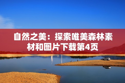 自然之美：探索唯美森林素材和图片下载第4页