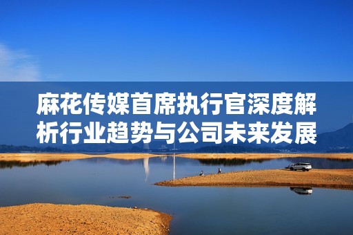 麻花传媒首席执行官深度解析行业趋势与公司未来发展方向