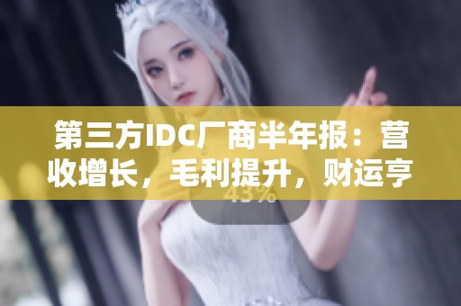 第三方IDC厂商半年报：营收增长，毛利提升，财运亨通展望未来