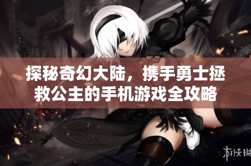 探秘奇幻大陆，携手勇士拯救公主的手机游戏全攻略