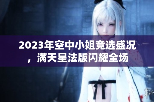 2023年空中小姐竞选盛况，满天星法版闪耀全场
