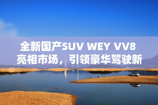 全新国产SUV WEY VV8 亮相市场，引领豪华驾驶新体验