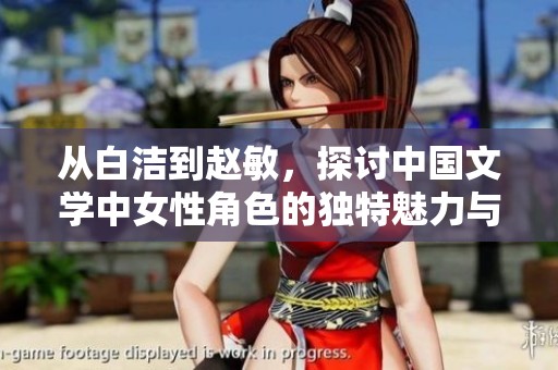 从白洁到赵敏，探讨中国文学中女性角色的独特魅力与发展