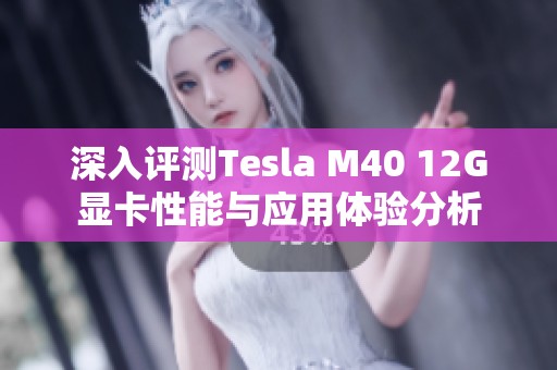 深入评测Tesla M40 12G显卡性能与应用体验分析