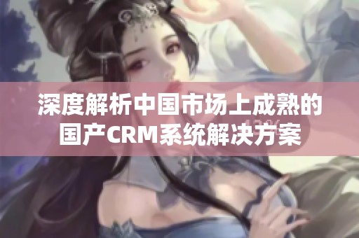 深度解析中国市场上成熟的国产CRM系统解决方案