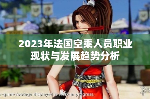 2023年法国空乘人员职业现状与发展趋势分析