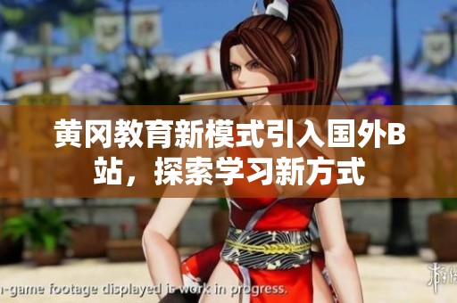 黄冈教育新模式引入国外B站，探索学习新方式